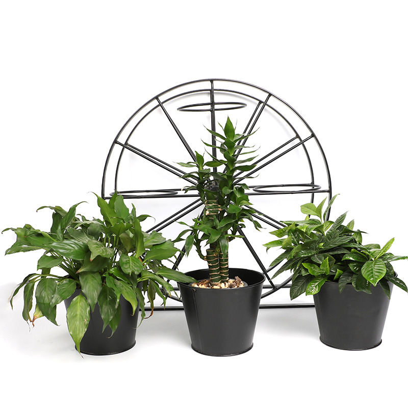 Good Wholesale Vendors Metal Plant Stand Outdoor - Ferris Wheel 3 Pots Metal Plant Stand Flower Pot Holder for Home Garden Patio and Balcony – DECOR detail pictures